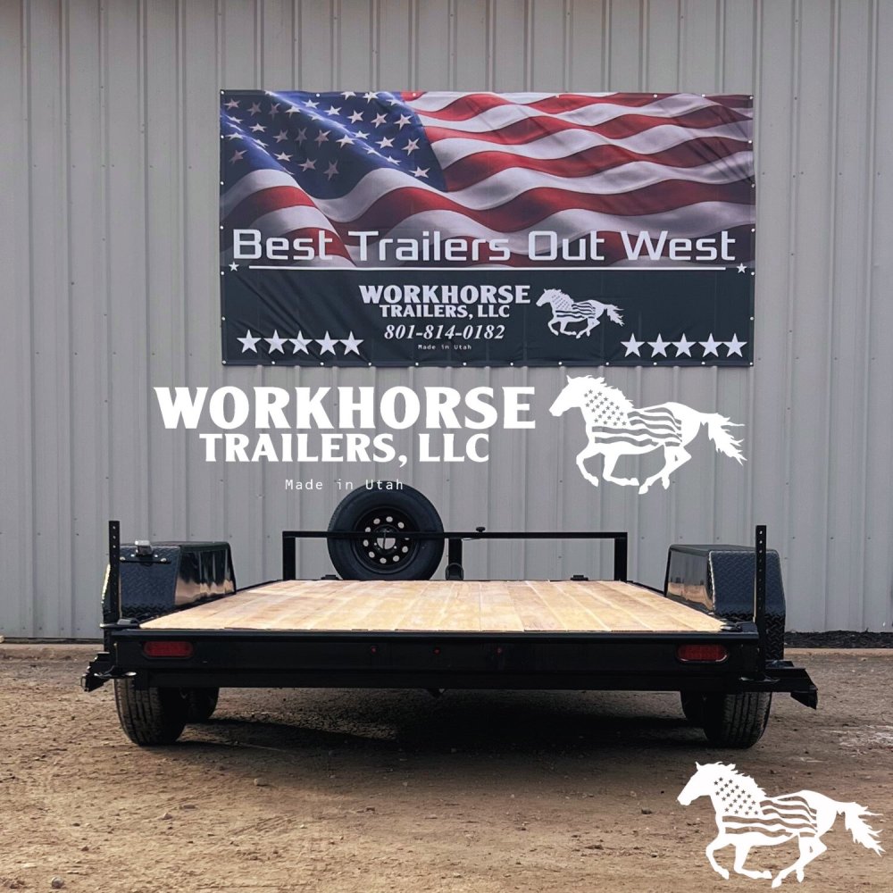 101889-8377.lg_.jpg
